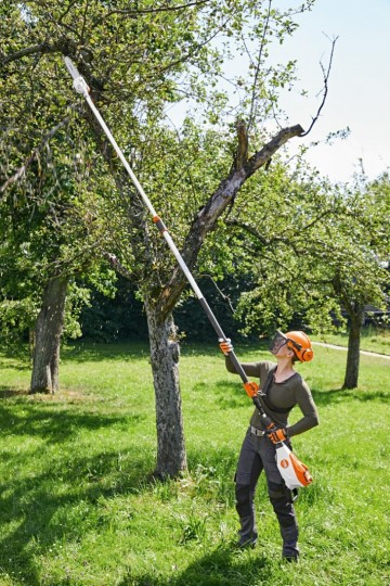 135 hta stihl