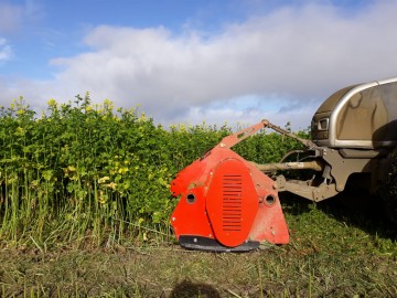 Ca00500d 50cd 4a95 8edf bbd73319ba92