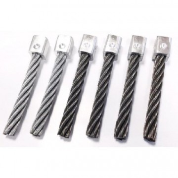 Limpar vervangings borstelset