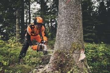Ms400stihl aktie