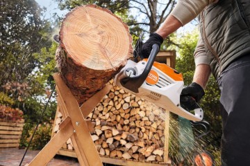 Msa80 stihl aktie