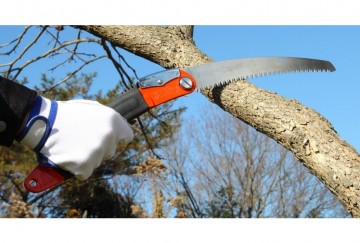 Ultraaccelcurve240 75ksi544624action